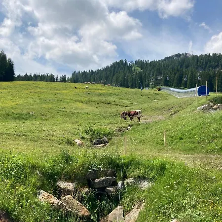 Silvia Nassfeld * Sonnenalpe Nassfeld