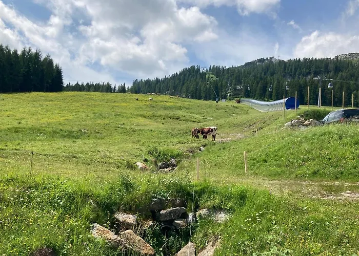 Silvia Nassfeld * Sonnenalpe Nassfeld
